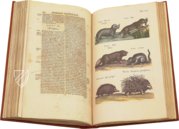 Historia Naturalis: De Quadrupedibus – Siloé, arte y bibliofilia – Private Collection