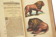 Historia Naturalis: De Quadrupedibus – Siloé, arte y bibliofilia – Private Collection