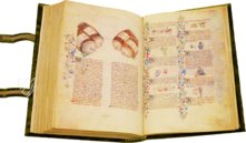 Historia Plantarum – Franco Cosimo Panini Editore – Ms. 459 – Biblioteca Casanatense (Rome, Italy)