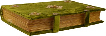 Historia Plantarum – Franco Cosimo Panini Editore – Ms. 459 – Biblioteca Casanatense (Rome, Italy)