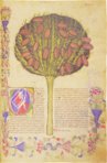 Historia Plantarum – Ms. 459 – Biblioteca Casanatense (Rome, Italy) Facsimile Edition