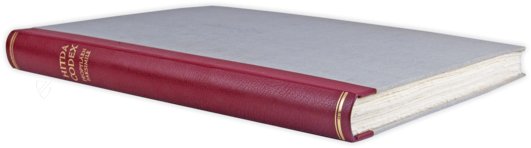 Hitda Codex – Propyläen Verlag – Cod 1640 – Universitäts- und Landesbibliothek Darmstadt (Darmstadt, Germany)