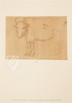 Horses and Other Animals – Royal Library at Windsor Castle (Windsor, United Kingdom) Facsimile Edition