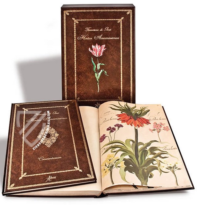 Hortus amoenissimus... by Franciscus de Geest – Aboca Museum – Varia 291 – Biblioteca Nazionale Centrale di Roma (Rome, Italy)