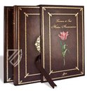 Hortus amoenissimus... by Franciscus de Geest – Aboca Museum – Varia 291 – Biblioteca Nazionale Centrale di Roma (Rome, Italy)
