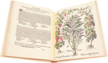 Hortus Eystettensis – Aboca Museum – SJ II 2892-2894 – Universitätsbibliothek (Eichstätt, Germany)