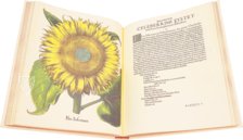 Hortus Eystettensis – Aboca Museum – SJ II 2892-2894 – Universitätsbibliothek Eichstätt-Ingolstadt (Eichstätt, Germany)