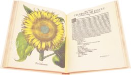 Hortus Eystettensis – Aboca Museum – SJ II 2892-2894 – Universitätsbibliothek Eichstätt-Ingolstadt (Eichstätt, Germany)