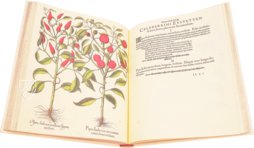 Hortus Eystettensis – Aboca Museum – SJ II 2892-2894 – Universitätsbibliothek Eichstätt-Ingolstadt (Eichstätt, Germany)