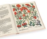 Hortus Eystettensis – SJ II 2892-2894 – Universitätsbibliothek (Eichstätt, Germany) Facsimile Edition