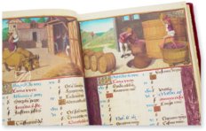 Hours of Henry VIII – M. Moleiro Editor – MS H.8 – The Morgan Library & Museum (New York, USA)