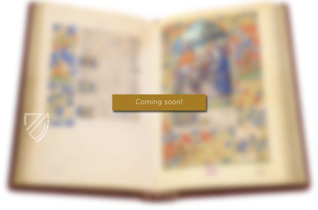 Hours of Pierre de Rohan-Gié – Archa 90 – MS VI.D.25 – National Library of the Czech Republic (Prague, Czech Republic)