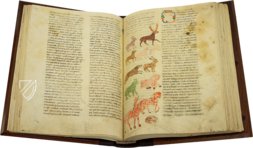 Hrabanus Maurus: De Universo - De Rerum Naturis – Priuli & Verlucca, editori – Cod. Casin. 132 – Archivio dell'Abbazia di Montecassino (Montecassino, Italy)