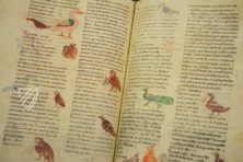 Hrabanus Maurus: De Universo - De Rerum Naturis – Priuli & Verlucca, editori – Cod. Casin. 132 – Archivio dell'Abbazia di Montecassino (Montecassino, Italy)