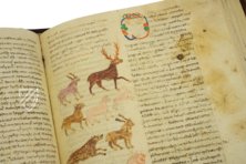 Hrabanus Maurus: De Universo - De Rerum Naturis – Priuli & Verlucca, editori – Cod. Casin. 132 – Archivio dell'Abbazia di Montecassino (Montecassino, Italy)