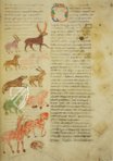 Hrabanus Maurus: De Universo - De Rerum Naturis – Priuli & Verlucca, editori – Cod. Casin. 132 – Archivio dell'Abbazia di Montecassino (Montecassino, Italy)