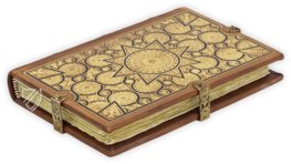 Il Fior di Virtù + Waldseemüller map – ArtCodex – Ricc. 1774 – Biblioteca Riccardiana (Florence, Italy)