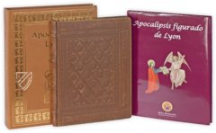 Illuminated Apocalypse of Lyon – Orbis Mediaevalis – ms. 0439 – Bibliothèque municipale de Lyon (Lyon, France)