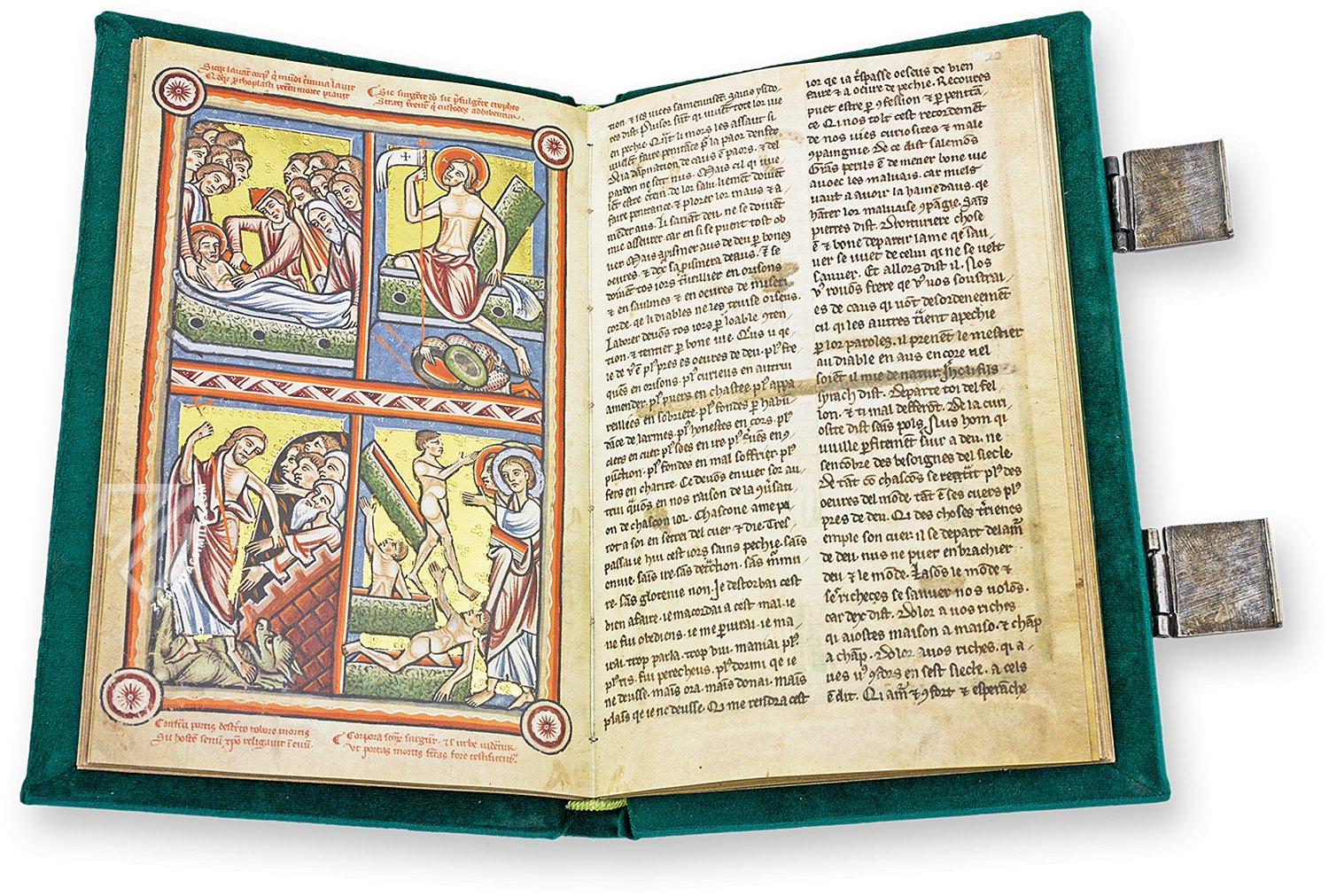 Illustrated Bible of The Hague