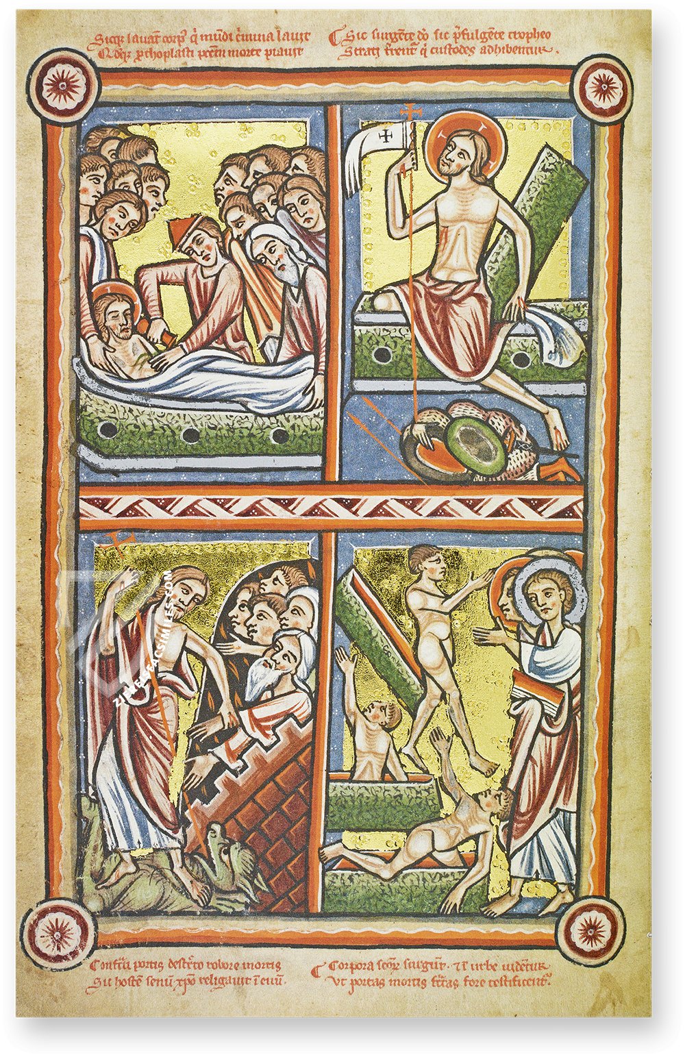 Illustrated Bible of The Hague