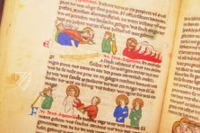 Jena Martyrology – Belser Verlag – Ms. Bos. q. 3|Fragm. oS 17.2|Fragment 21 a/b – Thüringer Universitäts- und Landesbibliothek (Jena, Germany)