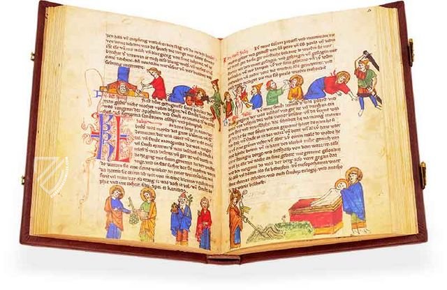 洋書 DIE ERZMINERALIEN UND IHRE VERWACHSUNGEN Jena Martyrology - Ziereis Facsimiles