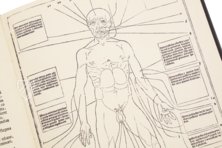 Johannes de Ketham: Fasciculus Medicinae – Editions Medicina Rara – Collection Otto Schäfer (Schweinfurt, Germany)