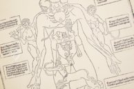 Johannes de Ketham: Fasciculus Medicinae – Editions Medicina Rara – Collection Otto Schäfer (Schweinfurt, Germany)