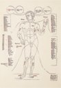 Johannes de Ketham: Fasciculus Medicinae – Editions Medicina Rara – Collection Otto Schäfer (Schweinfurt, Germany)