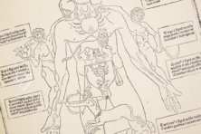 Johannes de Ketham: Fasciculus Medicinae – Editions Medicina Rara – Museum Otto Schäfer (Schweinfurt, Germany)