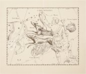 Johannes Hevelius: Firmamentum Sobiescianum sive Uranographia – Zakład Narodowy – Uph. f 1707 – Biblioteki Gdańskiej (Gdańsk, Poland)