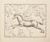 Johannes Hevelius: Firmamentum Sobiescianum sive Uranographia – Zakład Narodowy – Uph. f 1707 – Biblioteki Gdańskiej (Gdańsk, Poland)