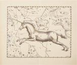 Johannes Hevelius: Firmamentum Sobiescianum sive Uranographia – Zakład Narodowy – Uph. f 1707 – Biblioteki Gdańskiej (Gdańsk, Poland)