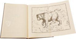 Johannes Hevelius: Firmamentum Sobiescianum sive Uranographia – Zakład Narodowy – Uph. f 1707 – Biblioteki Gdańskiej (Gdańsk, Poland)