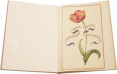 Karlsruhe Tulip Book – Landeskreditbank Baden-Württemberg – Cod. Karlsruhe 3302 – Badische Landesbibliothek (Karlsruhe, Germany)