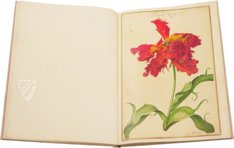 Karlsruhe Tulip Book – Landeskreditbank Baden-Württemberg – Cod. Karlsruhe 3302 – Badische Landesbibliothek (Karlsruhe, Germany)