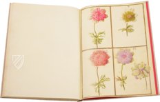 Karlsruhe Tulip Book – Landeskreditbank Baden-Württemberg – Cod. Karlsruhe 3302 – Badische Landesbibliothek (Karlsruhe, Germany)