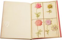 Karlsruhe Tulip Book – Landeskreditbank Baden-Württemberg – Cod. Karlsruhe 3302 – Badische Landesbibliothek (Karlsruhe, Germany)