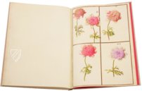 Karlsruhe Tulip Book – Landeskreditbank Baden-Württemberg – Cod. Karlsruhe 3302 – Badische Landesbibliothek (Karlsruhe, Germany)