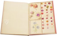 Karlsruhe Tulip Book – Landeskreditbank Baden-Württemberg – Cod. Karlsruhe 3302 – Badische Landesbibliothek (Karlsruhe, Germany)
