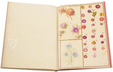 Karlsruhe Tulip Book – Landeskreditbank Baden-Württemberg – Cod. Karlsruhe 3302 – Badische Landesbibliothek (Karlsruhe, Germany)