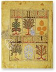 Kitâb al-Diryâq (Thériaque de Paris) – Aboca Museum – Ms. Arabe 2964 – Bibliothèque nationale de France (Paris, France)