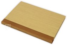 Kleine Heidelberger Liederhandschrift – Reichert Verlag – Cod. Pal. germ. 357 – Universitätsbibliothek Heidelberg (Heidelberg, Germany)