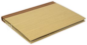 Kleine Heidelberger Liederhandschrift – Reichert Verlag – Cod. Pal. germ. 357 – Universitätsbibliothek Heidelberg (Heidelberg, Germany)