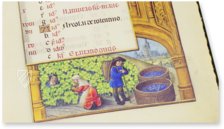 La Flora Book of Hours – De Agostini/UTET – Ms. I.B.51 – Biblioteca Nazionale "Vittorio Emanuele III" (Naples, Italy)