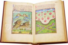 La Mirabile Visione – Istituto dell'Enciclopedia Italiana - Treccani – Ms. Douce 134 – Bodleian Library (Oxford, United Kingdom)