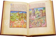 La Mirabile Visione – Istituto dell'Enciclopedia Italiana - Treccani – Ms. Douce 134 – Bodleian Library (Oxford, United Kingdom)