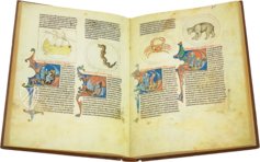Lapidary of Alfonso X the Wise – Edilan – ms. H. I. 15 – Real Biblioteca del Monasterio de San Lorenzo de El Escorial (San Lorenzo de El Escorial, Spain)