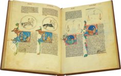 Lapidary of Alfonso X the Wise – Edilan – ms. H. I. 15 – Real Biblioteca del Monasterio de San Lorenzo de El Escorial (San Lorenzo de El Escorial, Spain)