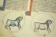 Lapidary of Alfonso X the Wise – Edilan – ms. H. I. 15 – Real Biblioteca del Monasterio de San Lorenzo de El Escorial (San Lorenzo de El Escorial, Spain)